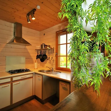 Chalet Chalet A4 Saint-Fargeau-Ponthierry